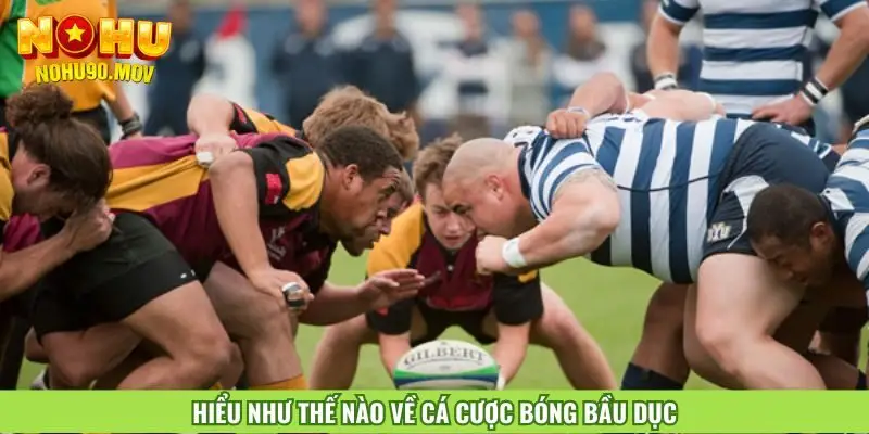hieu-nhu-the-nao-ve-ca-cuoc-bong-bau-duc