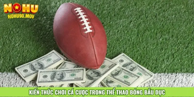 kien-thuc-choi-ca-cuoc-trong-the-thao-bong-bau-duc
