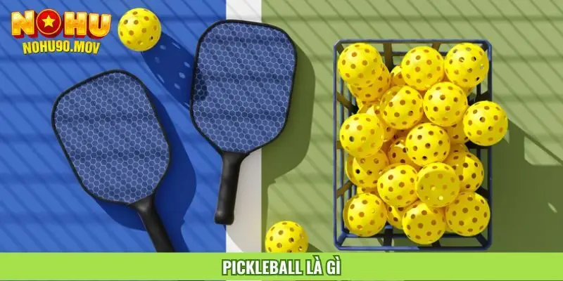 pickleball-la-gi